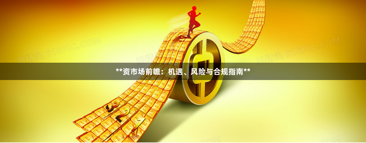 **资市场前瞻：机遇、风险与合规指南**